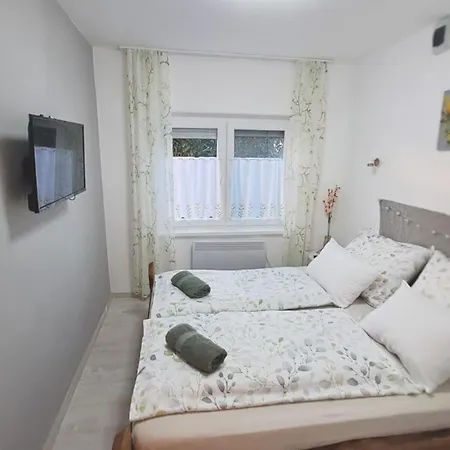 Borbala Vendeghaz 아파트 *